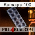 Kamagra 100 30